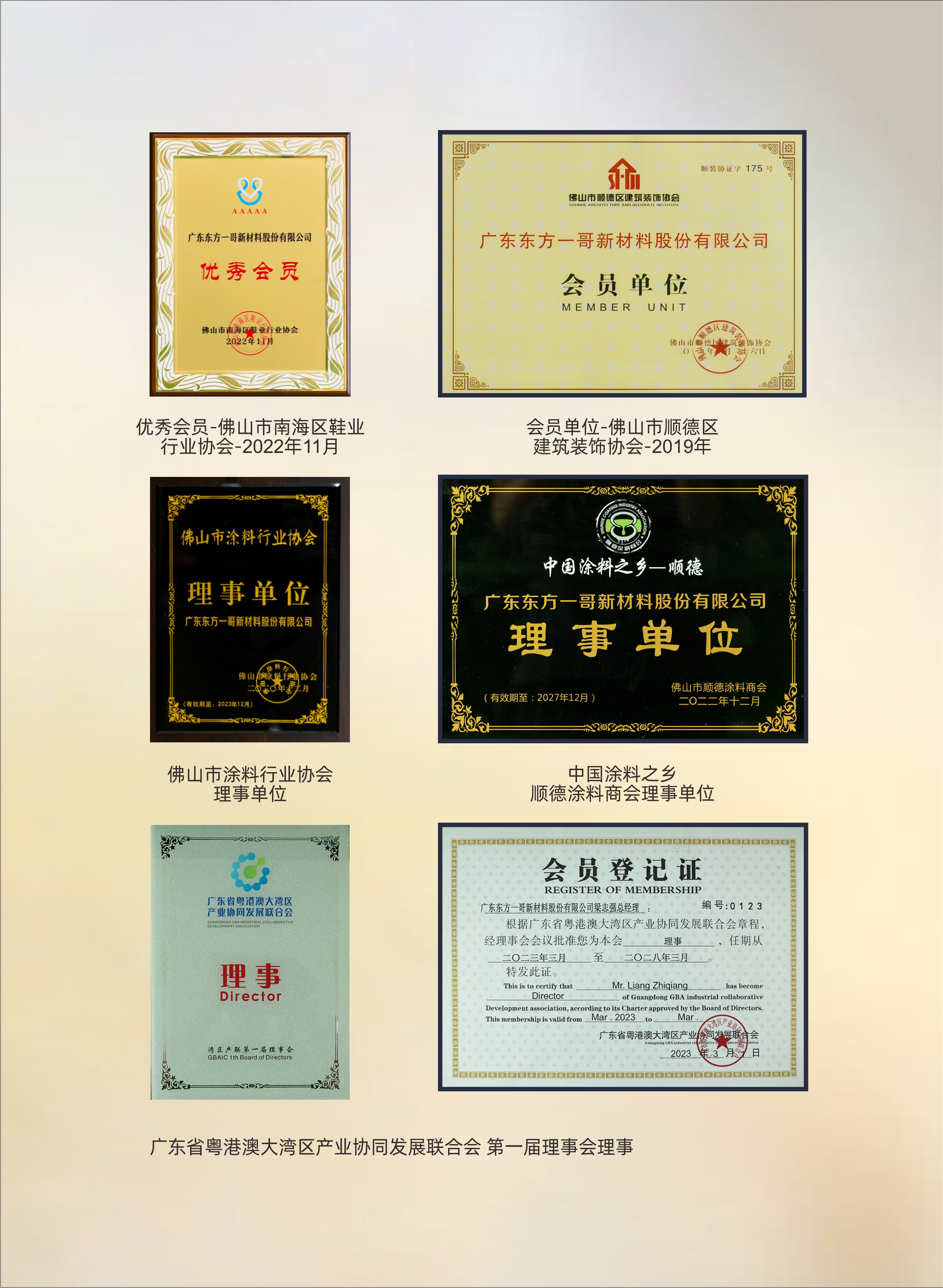 協(xié)會榮譽（2）
